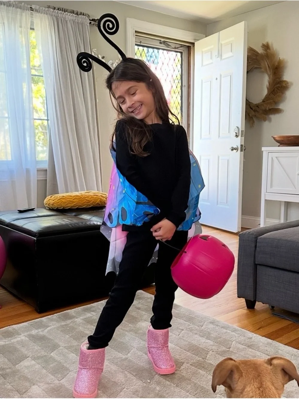 Kids Butterfly Wings Size Small Pink Blue Fairy Halloween Costume